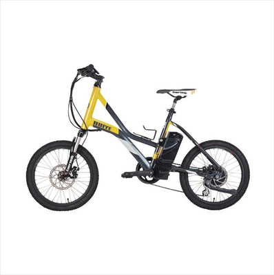Batteria per pistola fasciale OEM 24V 2600Mah Batteria rimovibile per bicicletta elettrica